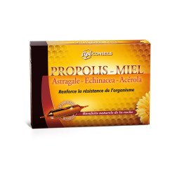 Yves Ponroy Propolis Echinacea Astragale Acérola 20 Ampoules