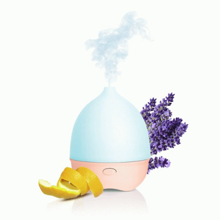 PURESSENTIEL DIFFUSEUR TOPO