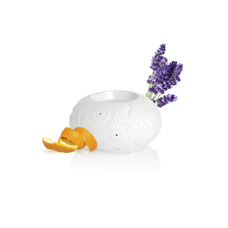 PURESSENTIEL DIFFUSEUR à chaleur douce Calvi